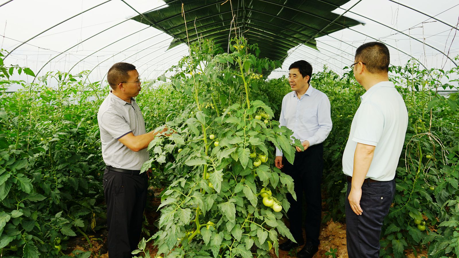 1687140857214499.jpg 微信圖片_20230619101221_副本.jpg