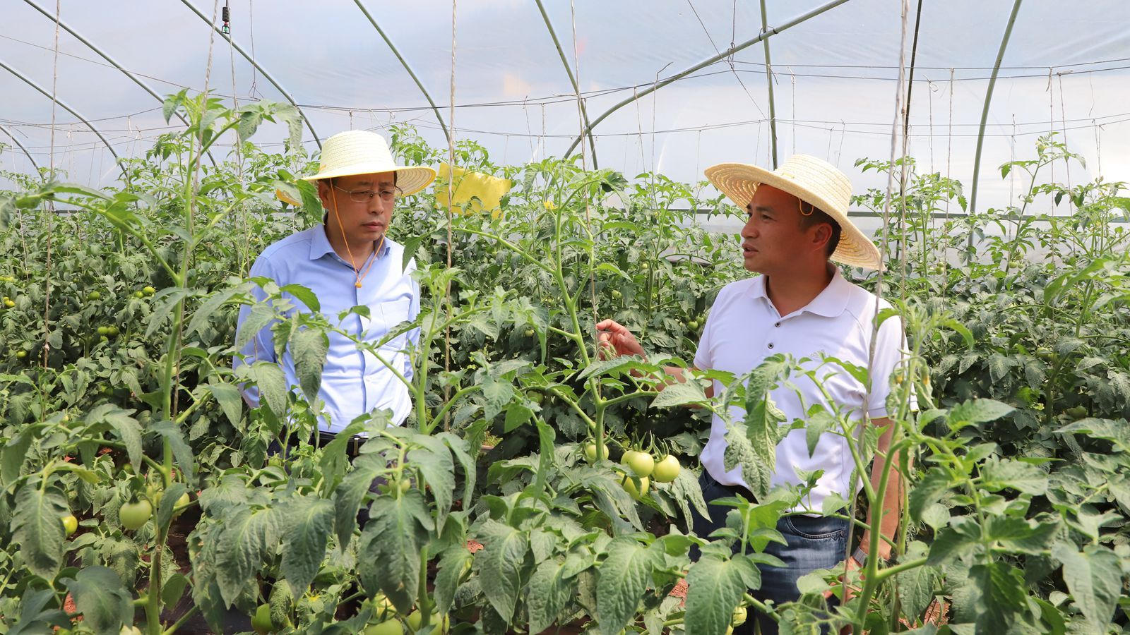 1718611254239944.jpg 1718609333301288_副本.jpg