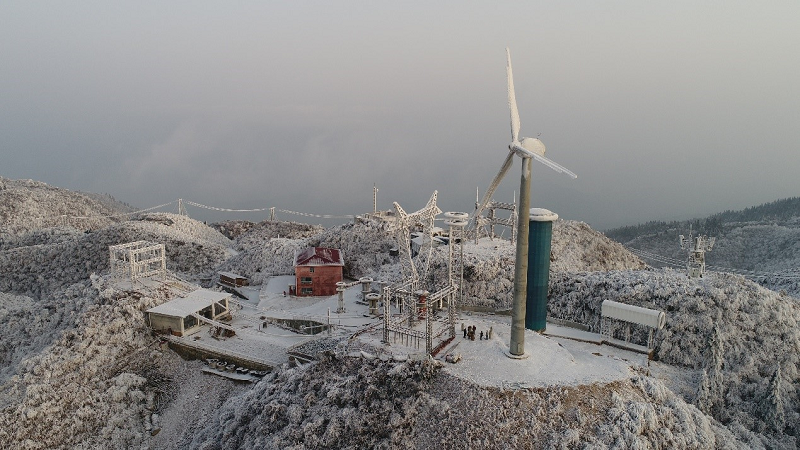 1609317998798497.png 1609316619419373.png