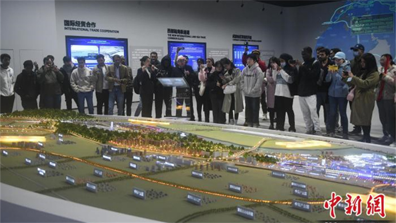 1702019306787859.jpg 4.jpg