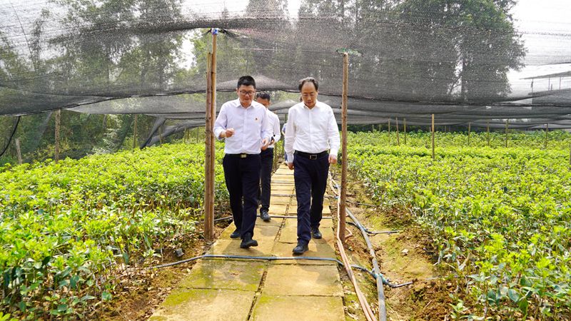 1682492824231211.jpg DSC04317_副本_副本.jpg